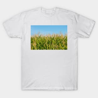 Corn Field T-Shirt
